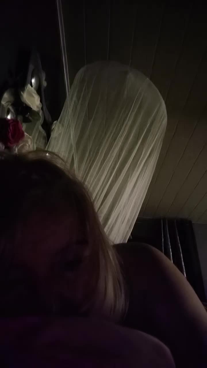 @patriciatenert