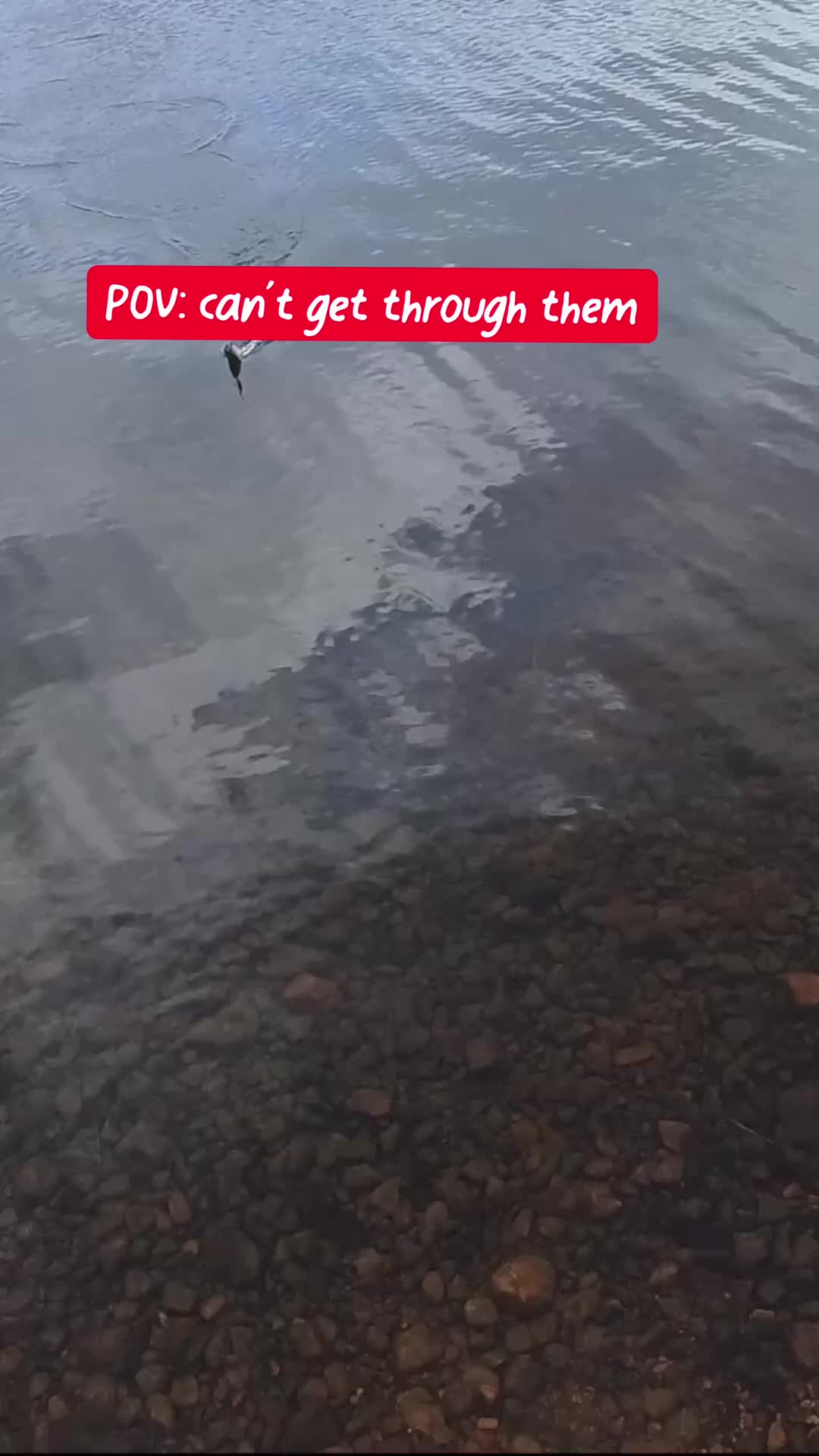 @fishingshaun