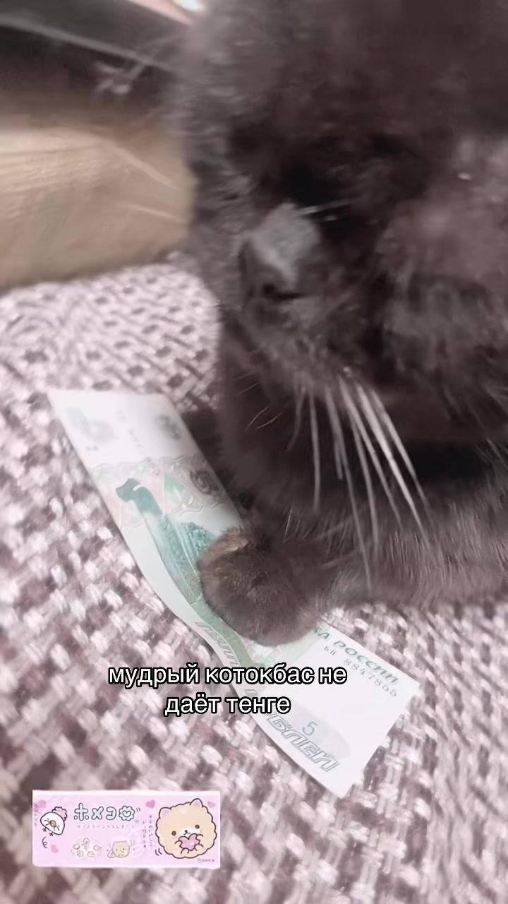 @хроника тракова🕊️