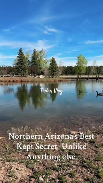 @Flagstaff REALTOR®️ Sonia 🏡