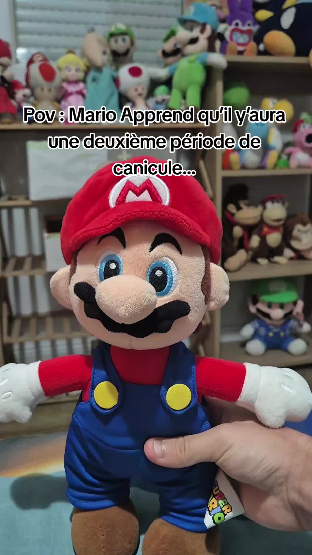 @peluchemario64
