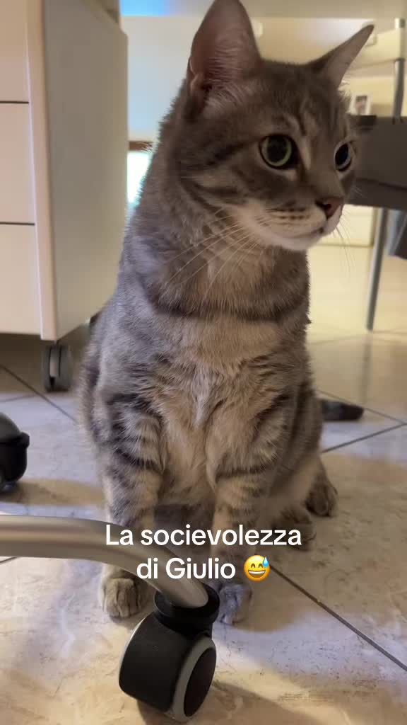 @Mariolover and friends