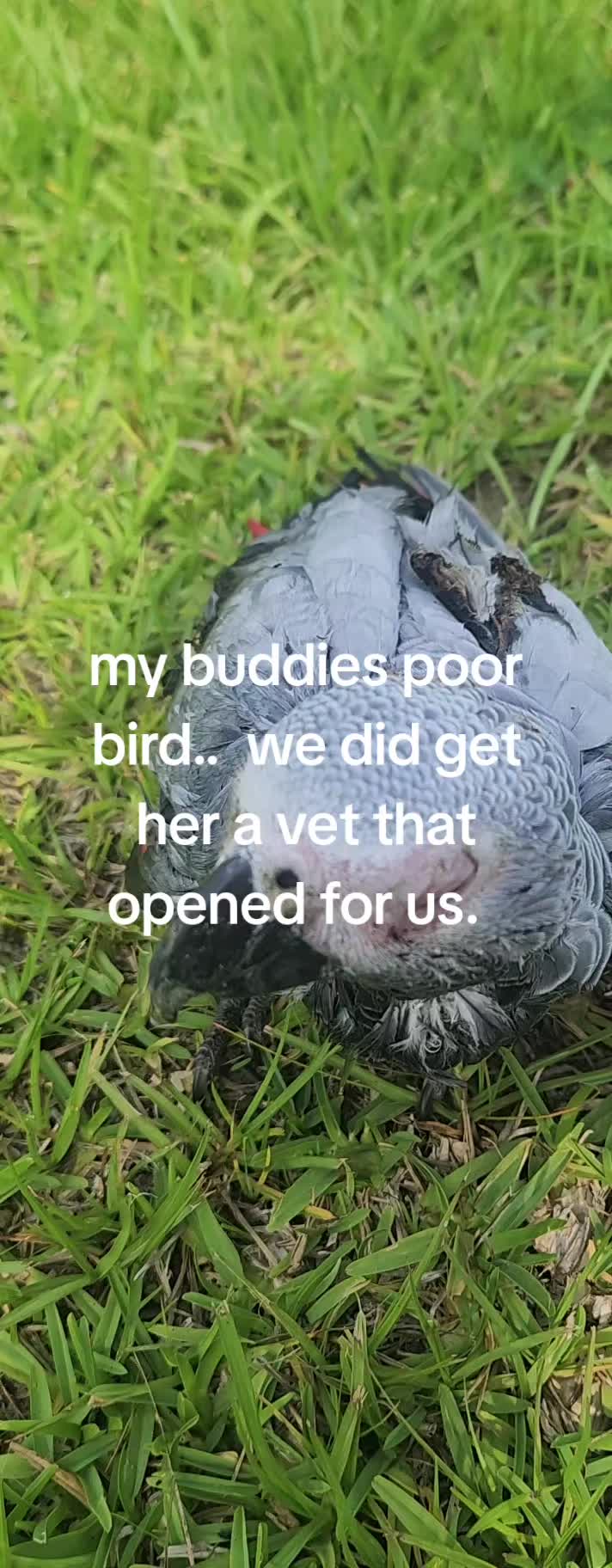@onemansjourney