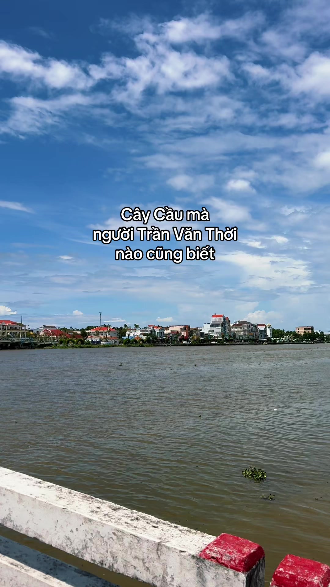 @Bé Rồng