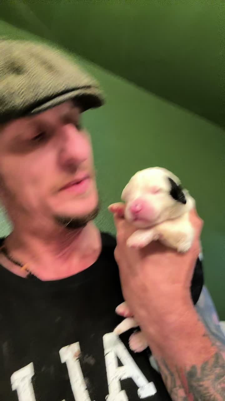 @Justin The DogFather 1976
