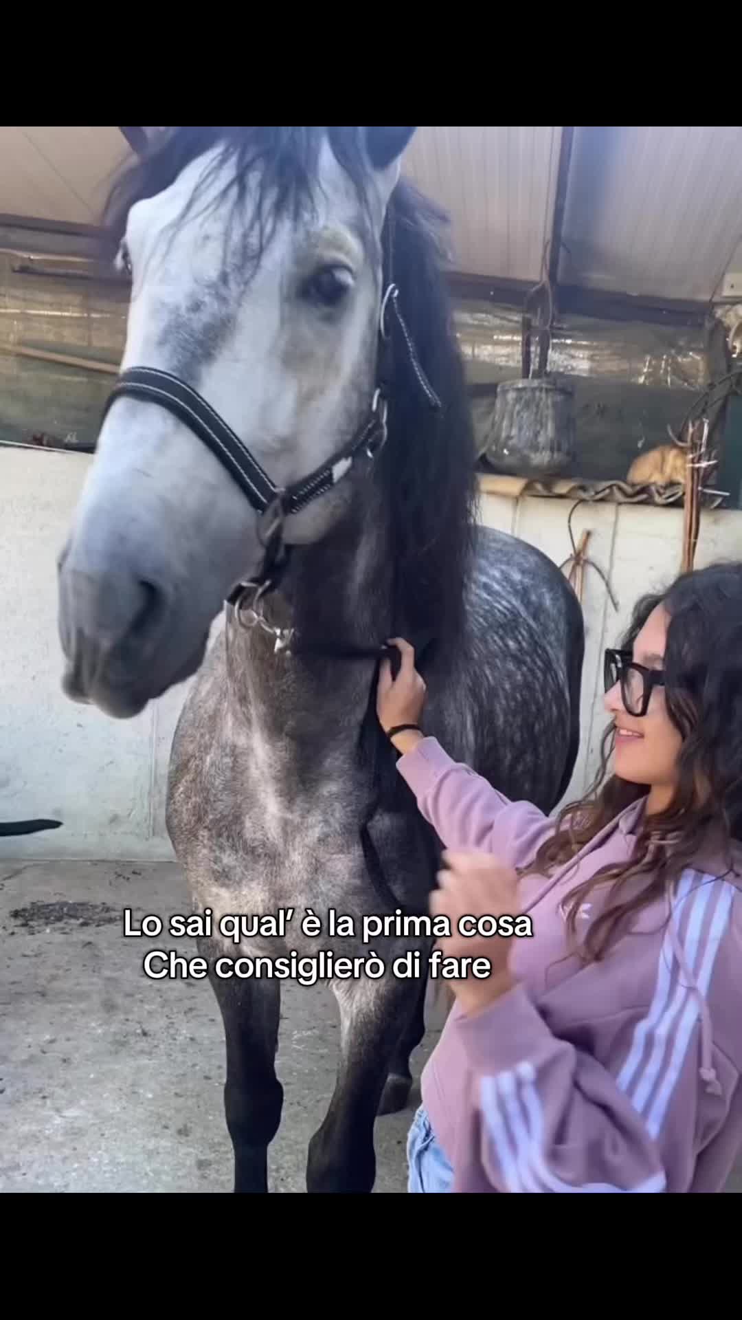 @martina