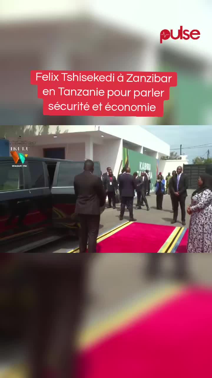 @Pulse Congo
