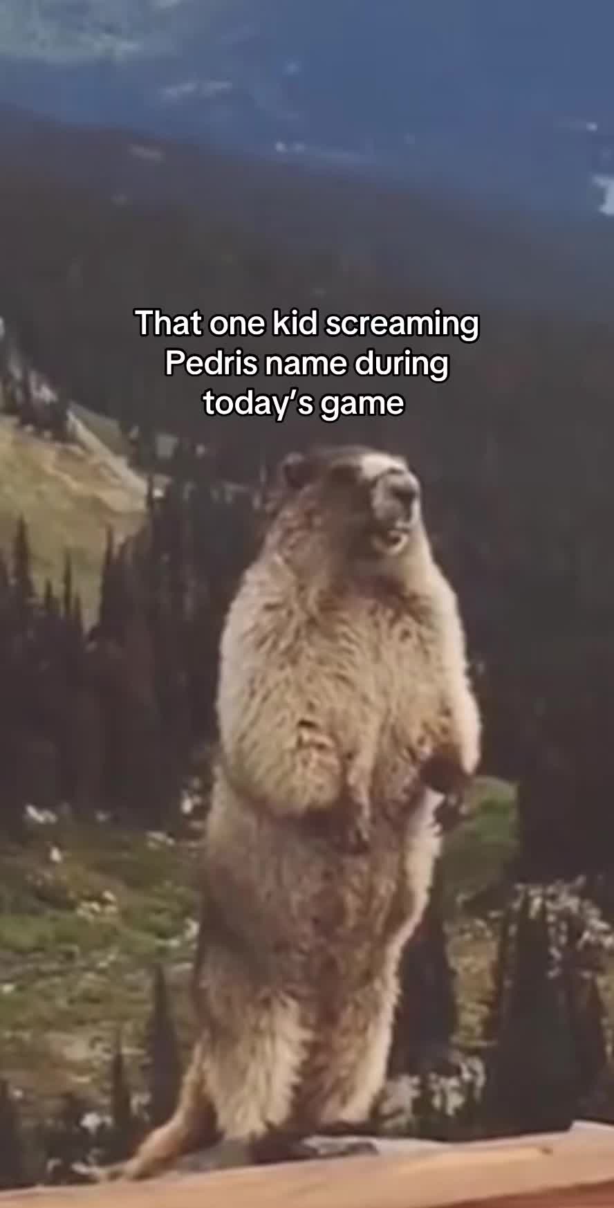 @Heavy