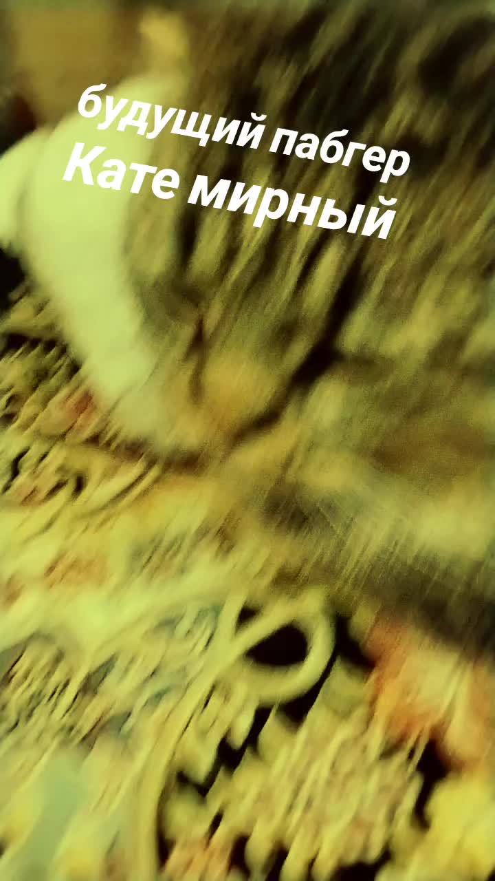 @metro_ysman