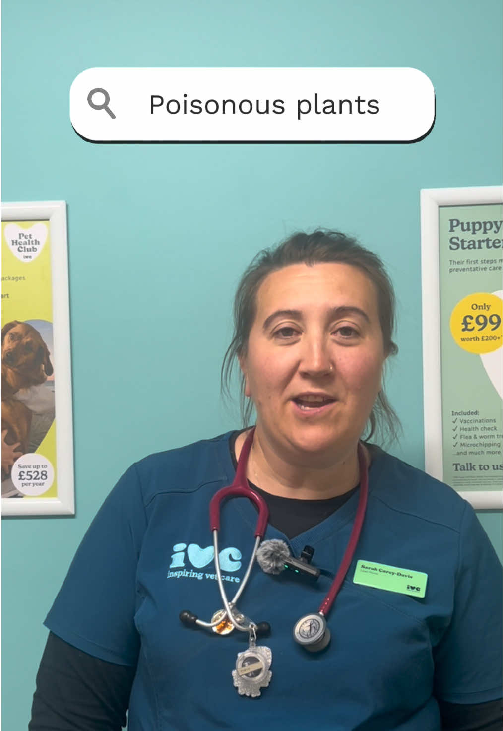 @Lime Trees Vets