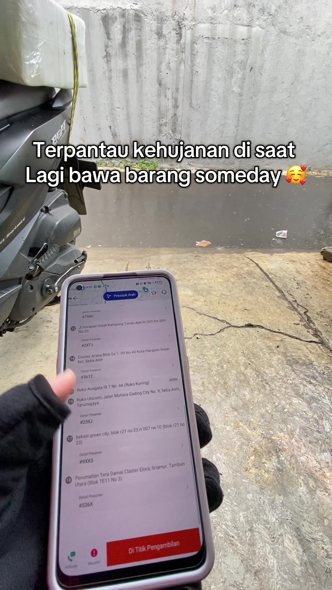 @Anisa