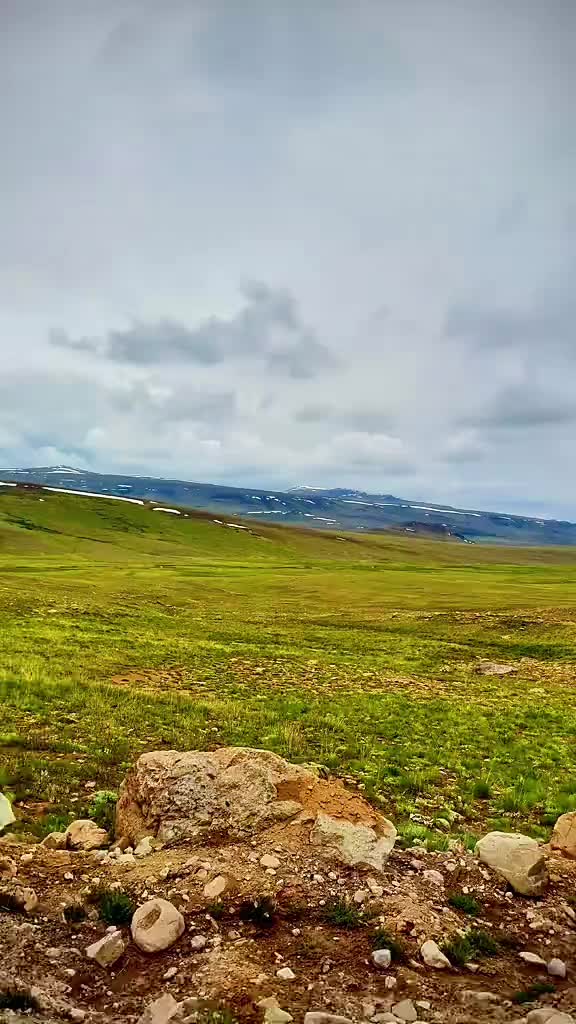 @Nature lover