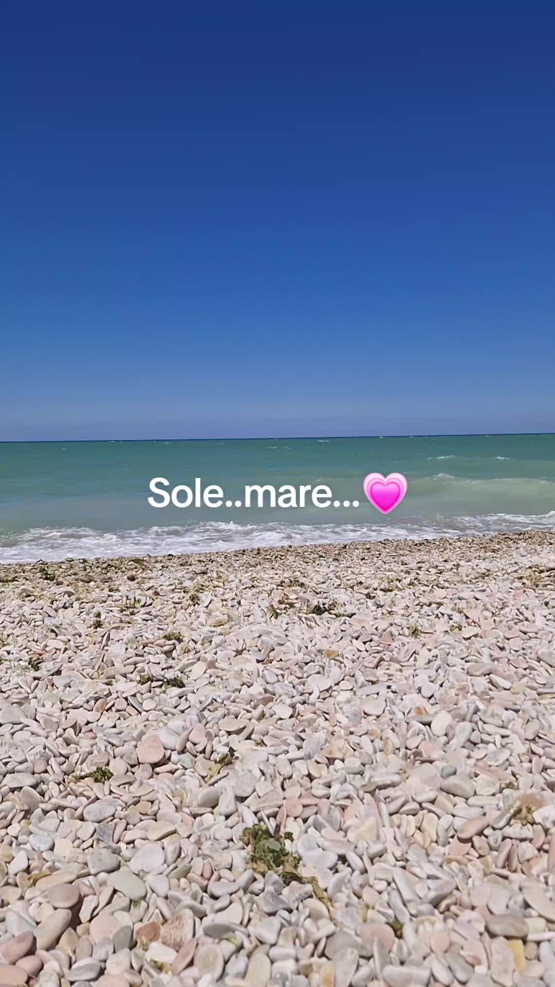 @elisabettasilves6