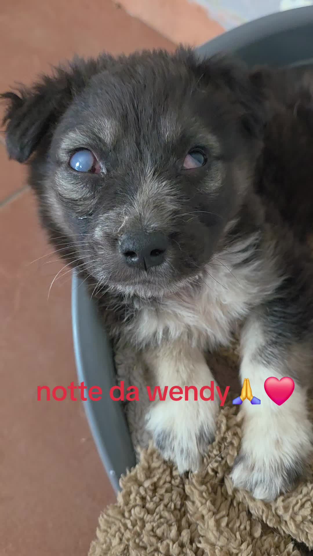 @Maria Rosaria Natill
