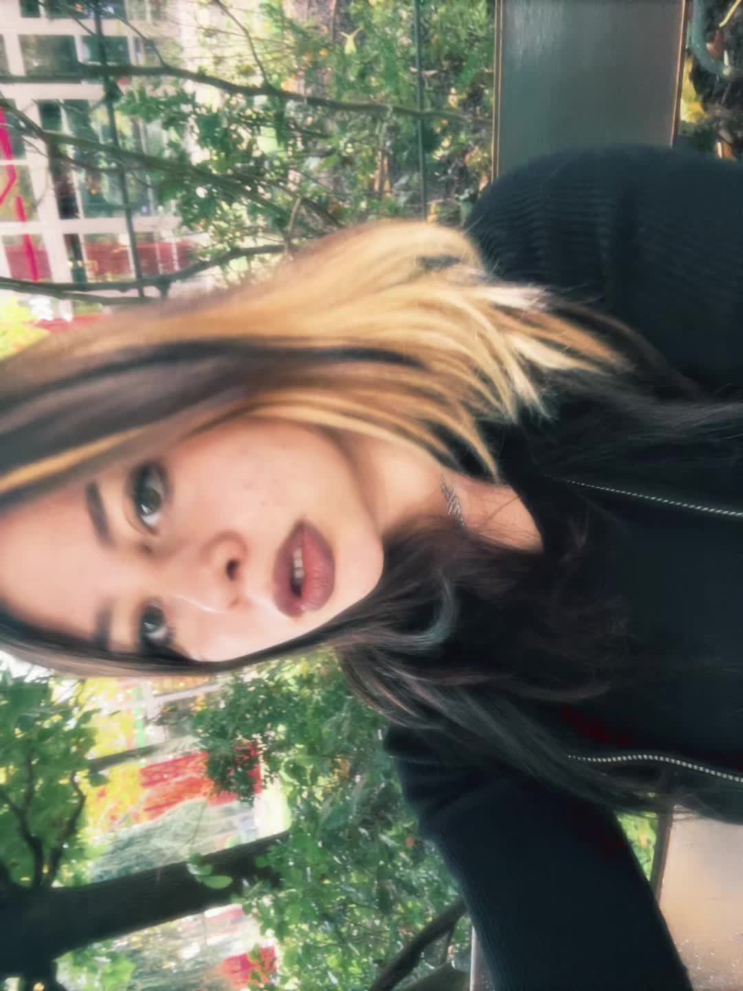 @kikuo