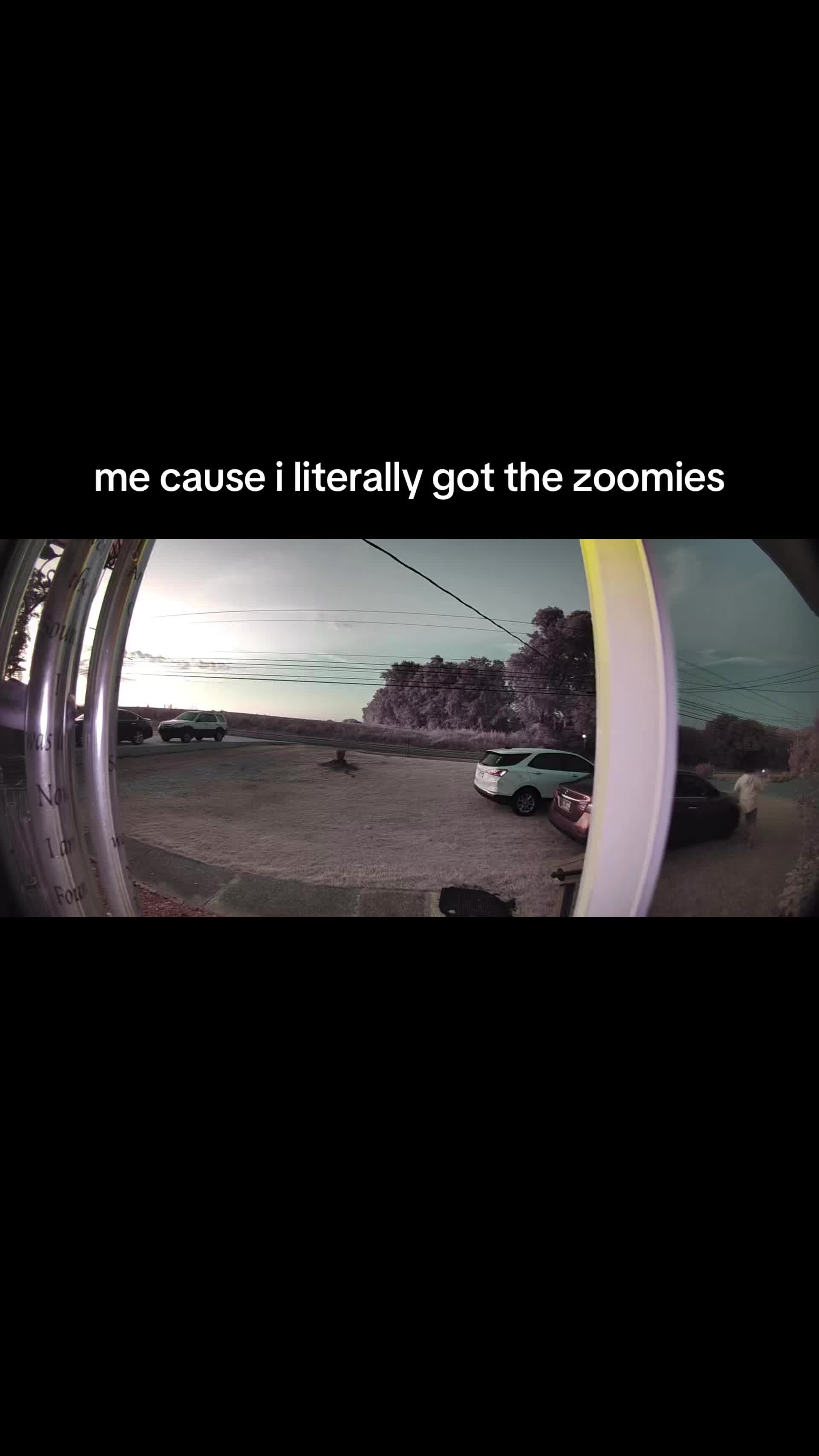 @jaz⁷ | saw 𝕠𝕟 & 𝕨𝕚𝕟𝕘𝕤⟭⟬
