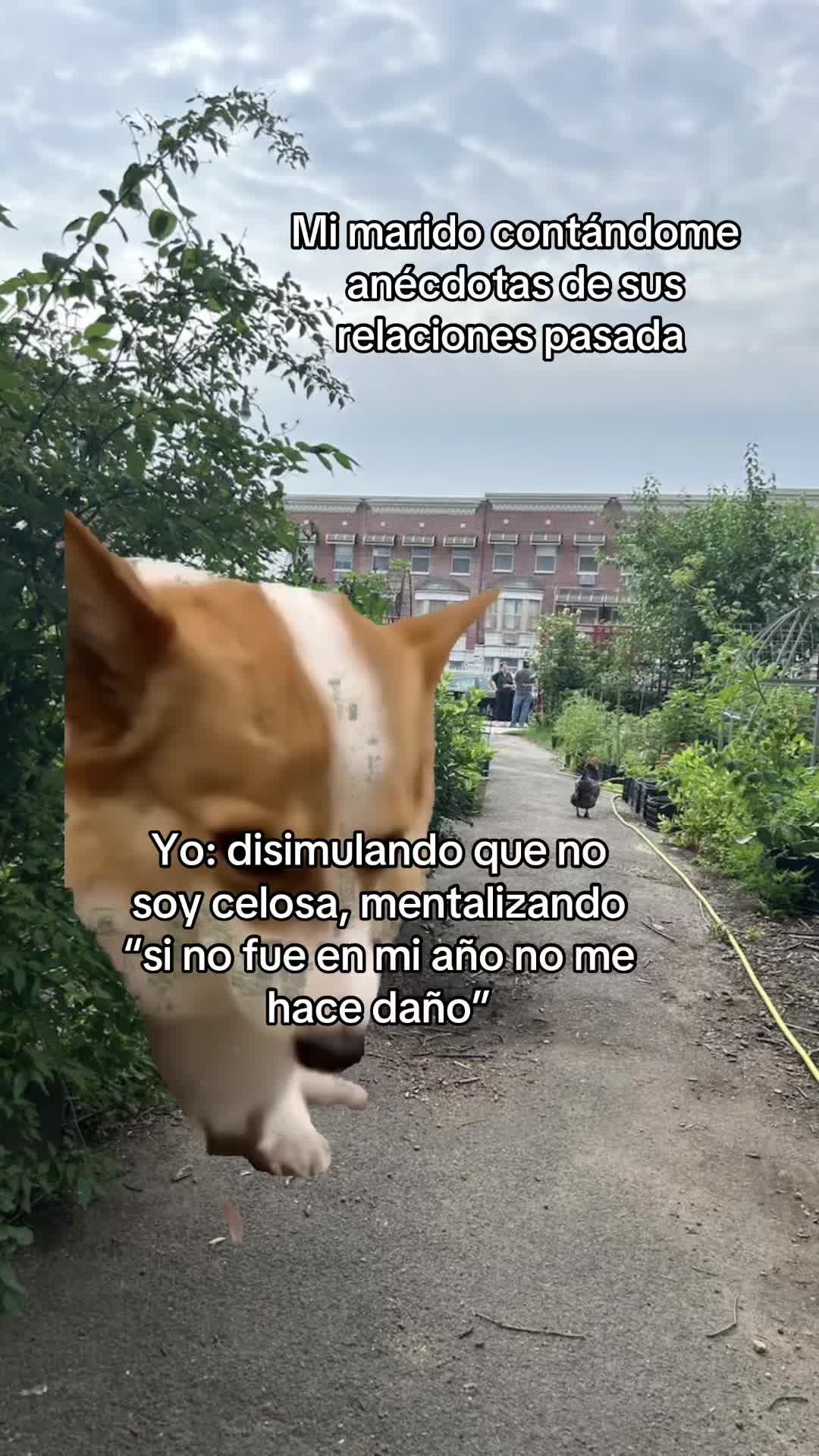 @Monica Miniguano