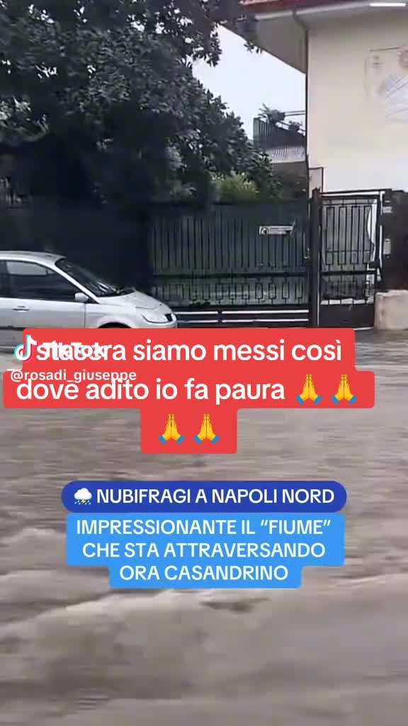 @Carla Junior