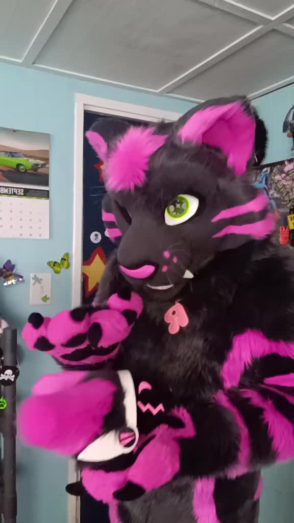 @dingbat 🐾 mew,mew 🐾