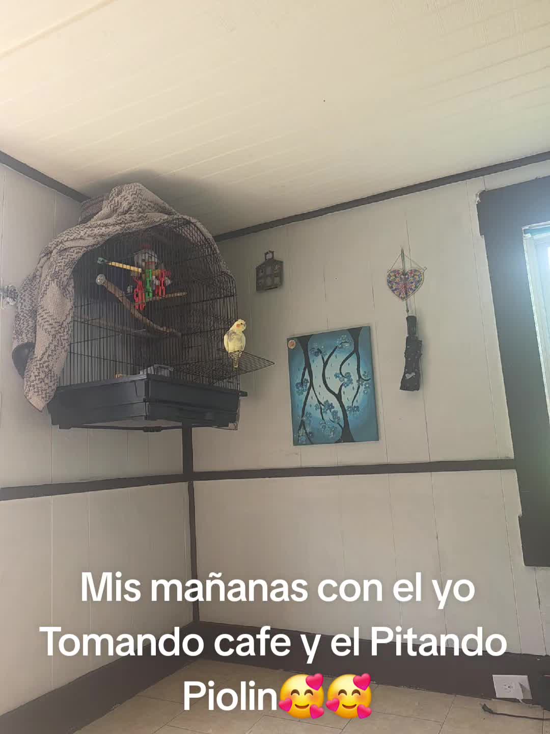 @🤍✝️🇵🇷IVI JOHAN🇵🇷✝️🤍