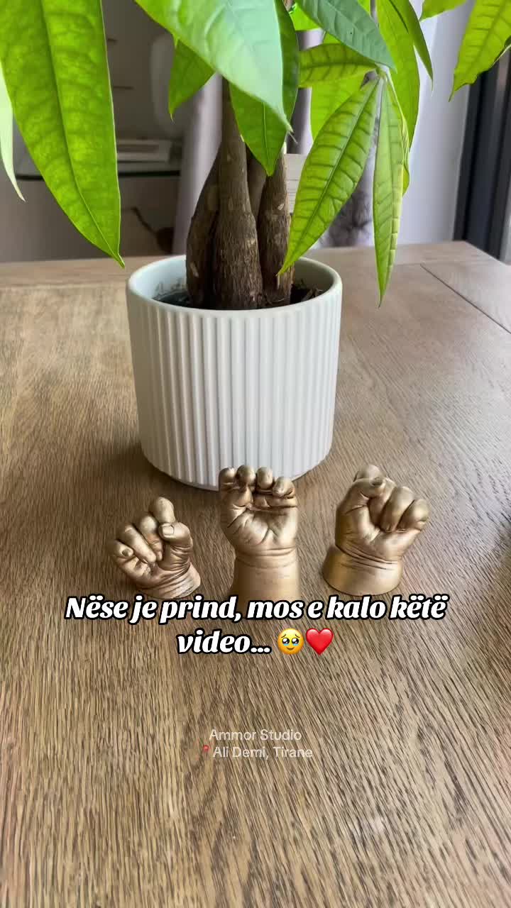 @ammorstudio