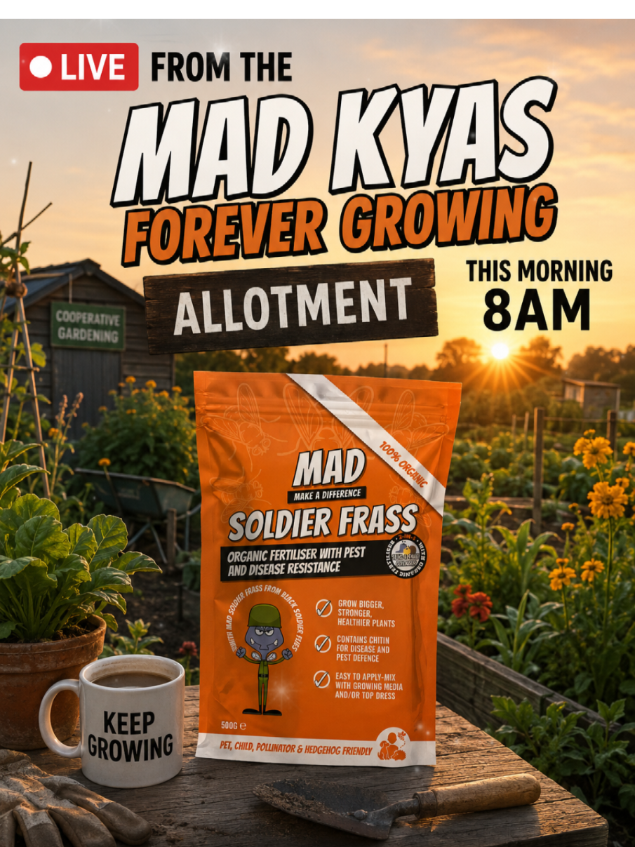 @MAD kyas forever growing💙🧡💚
