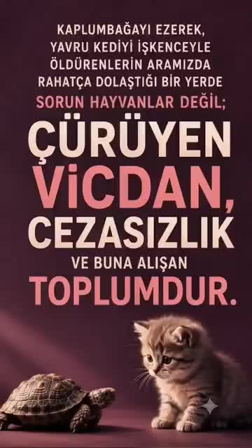 @ANKA