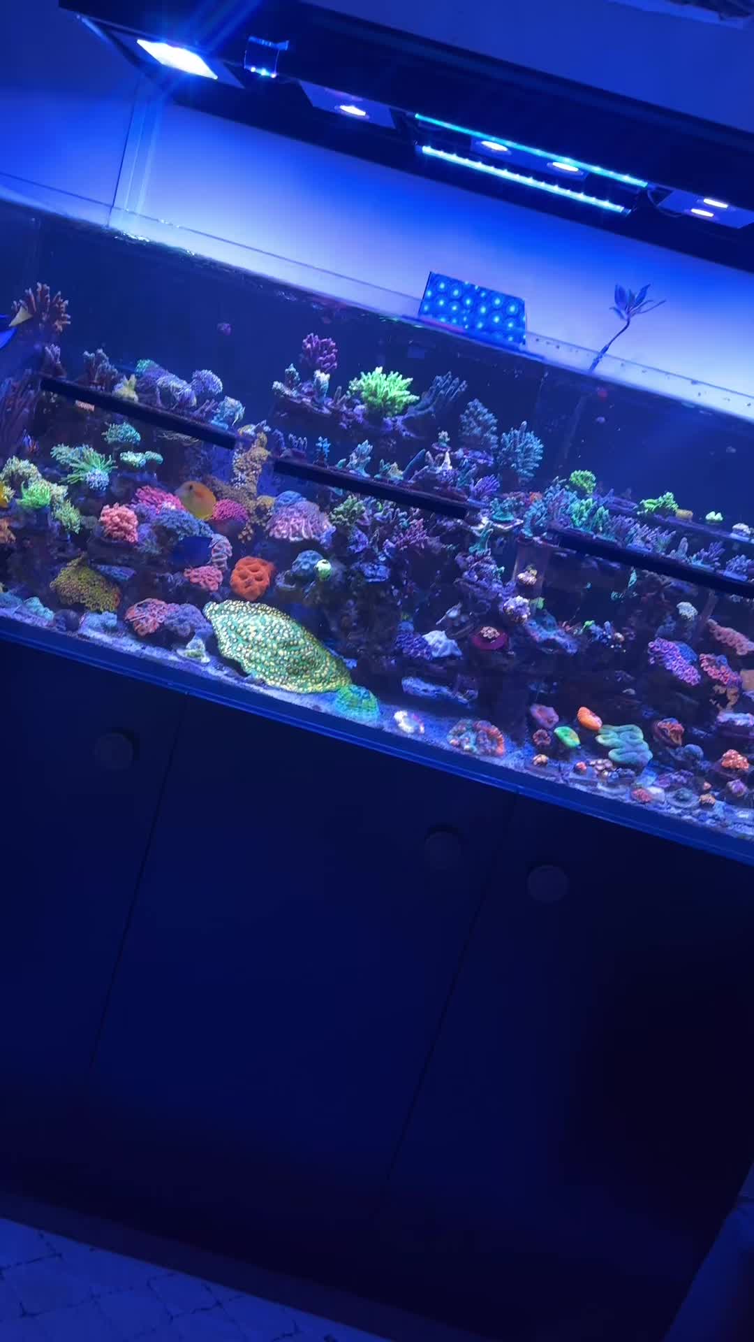 @SaltWaterShane