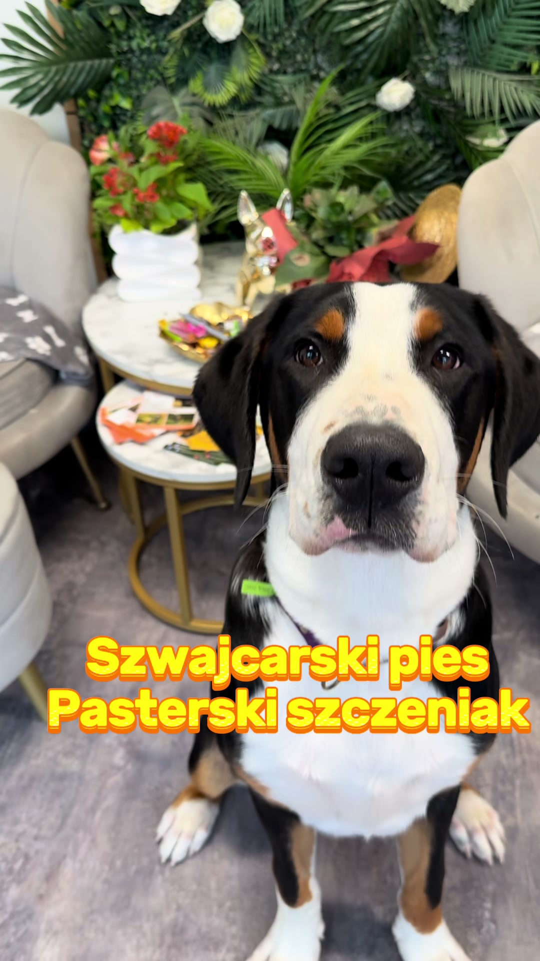 @iwanxoczko