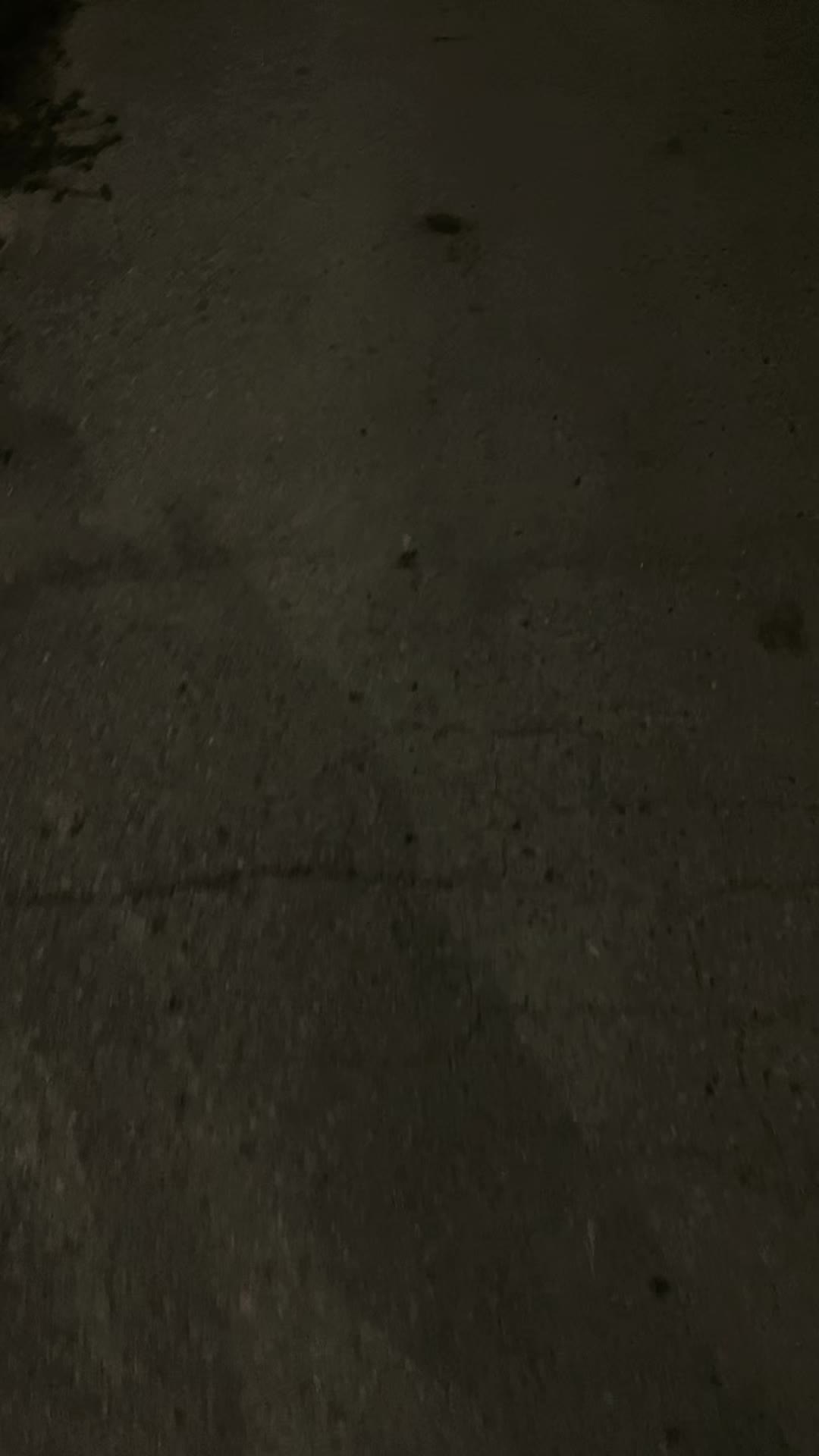 @مسليم