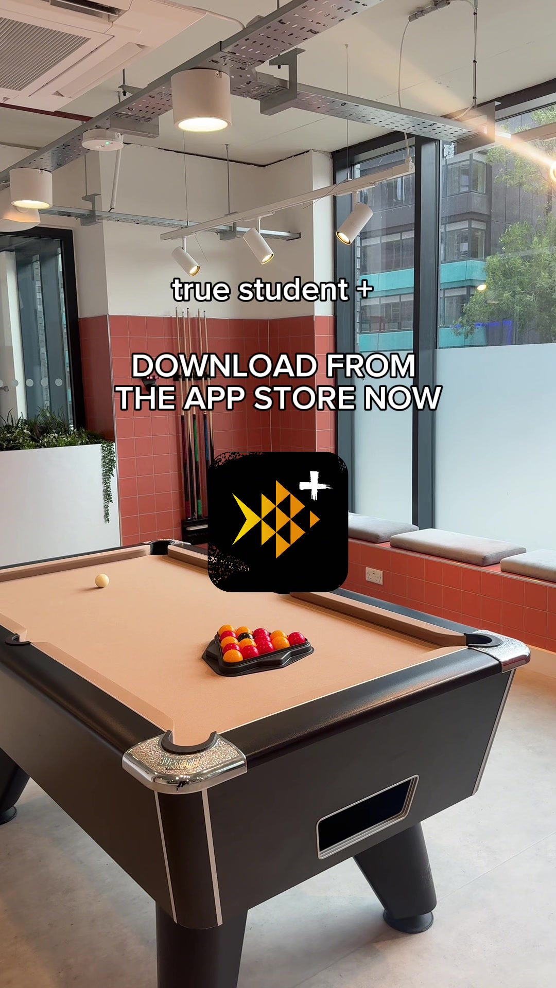 @true student
