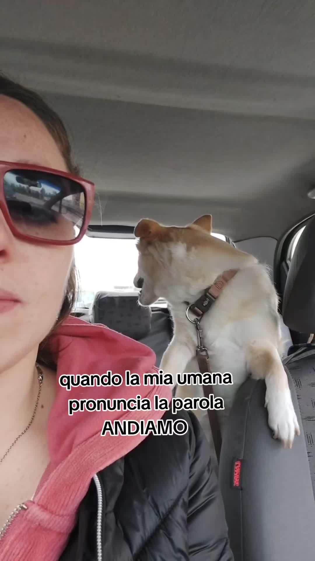 @Luana Milone