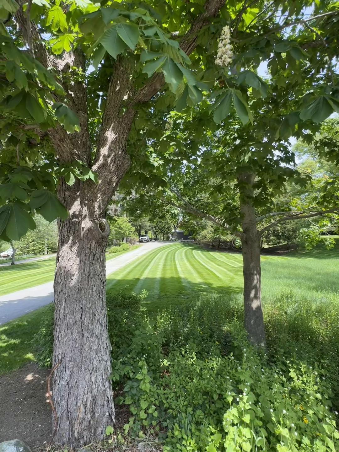 @Prestige landscaping ☘️🍃