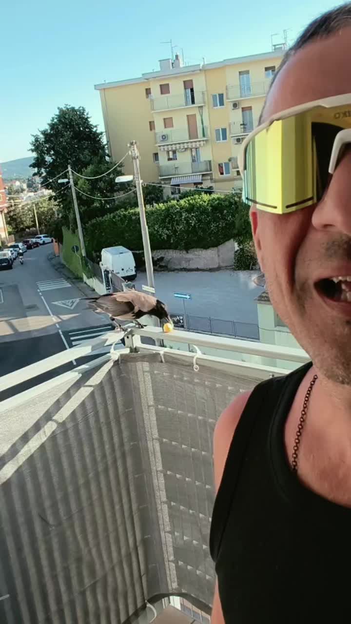 @Pergliamici Ciccio