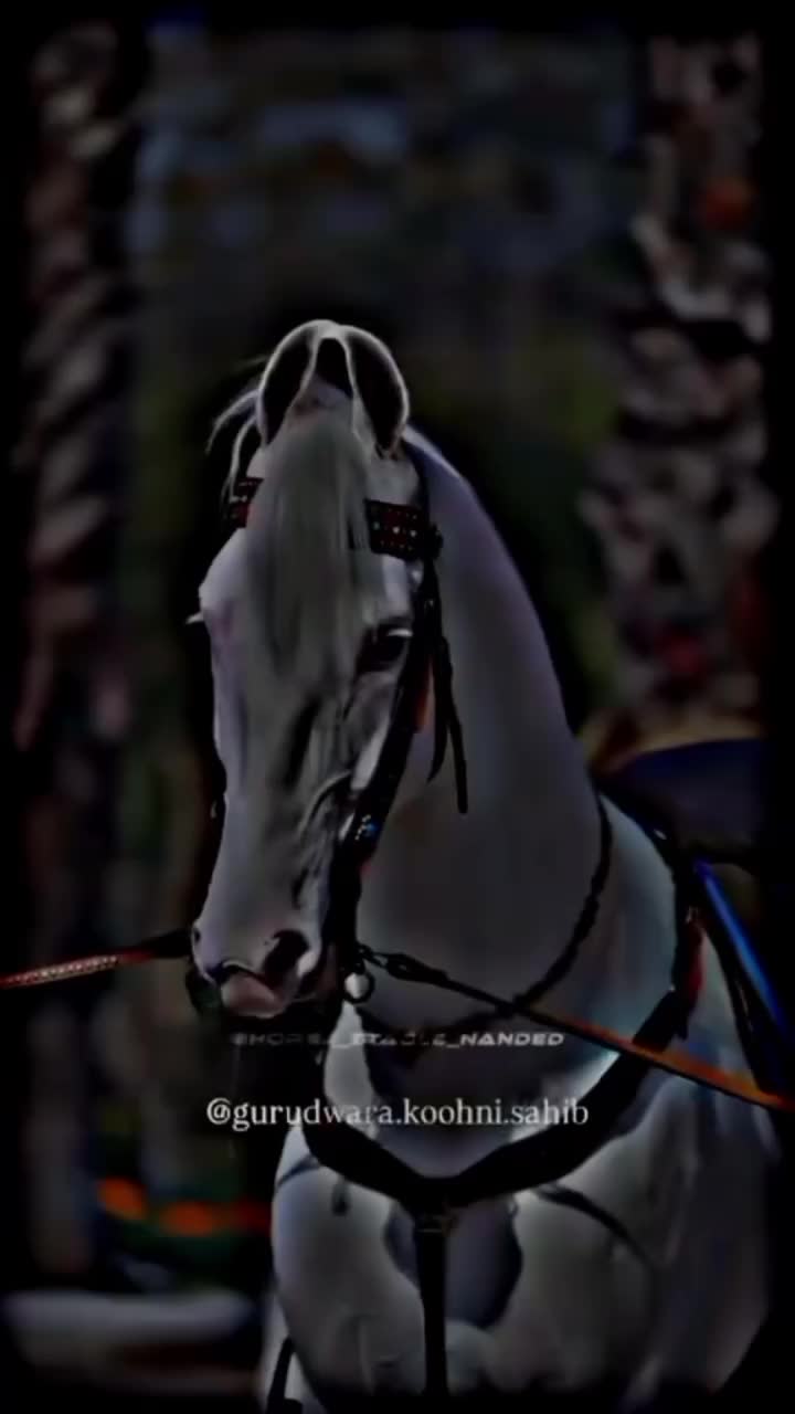 @⫸𝙈𝙞𝙍𝙯𝘼✫𝙎𝙖𝙍𝙆𝙖𝙍✫⫷