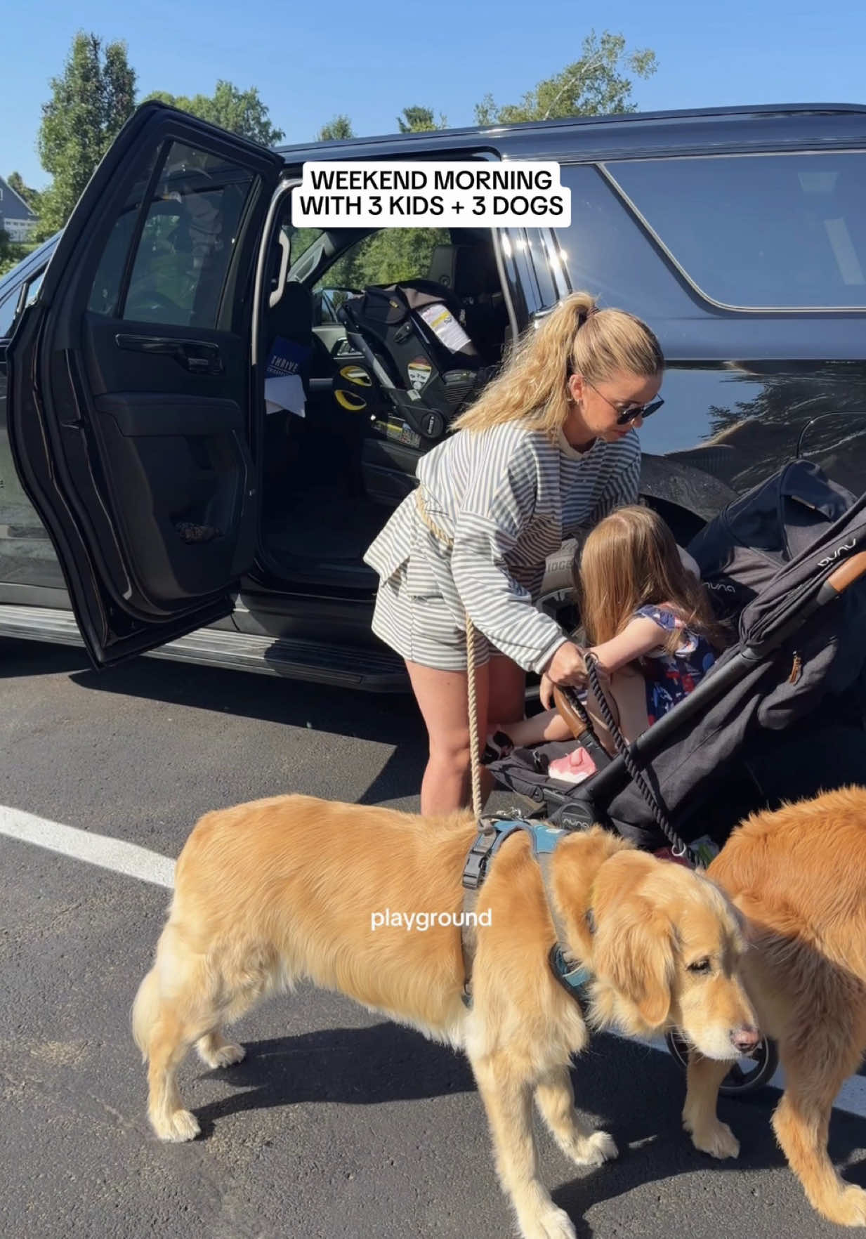 @agoldendogmom