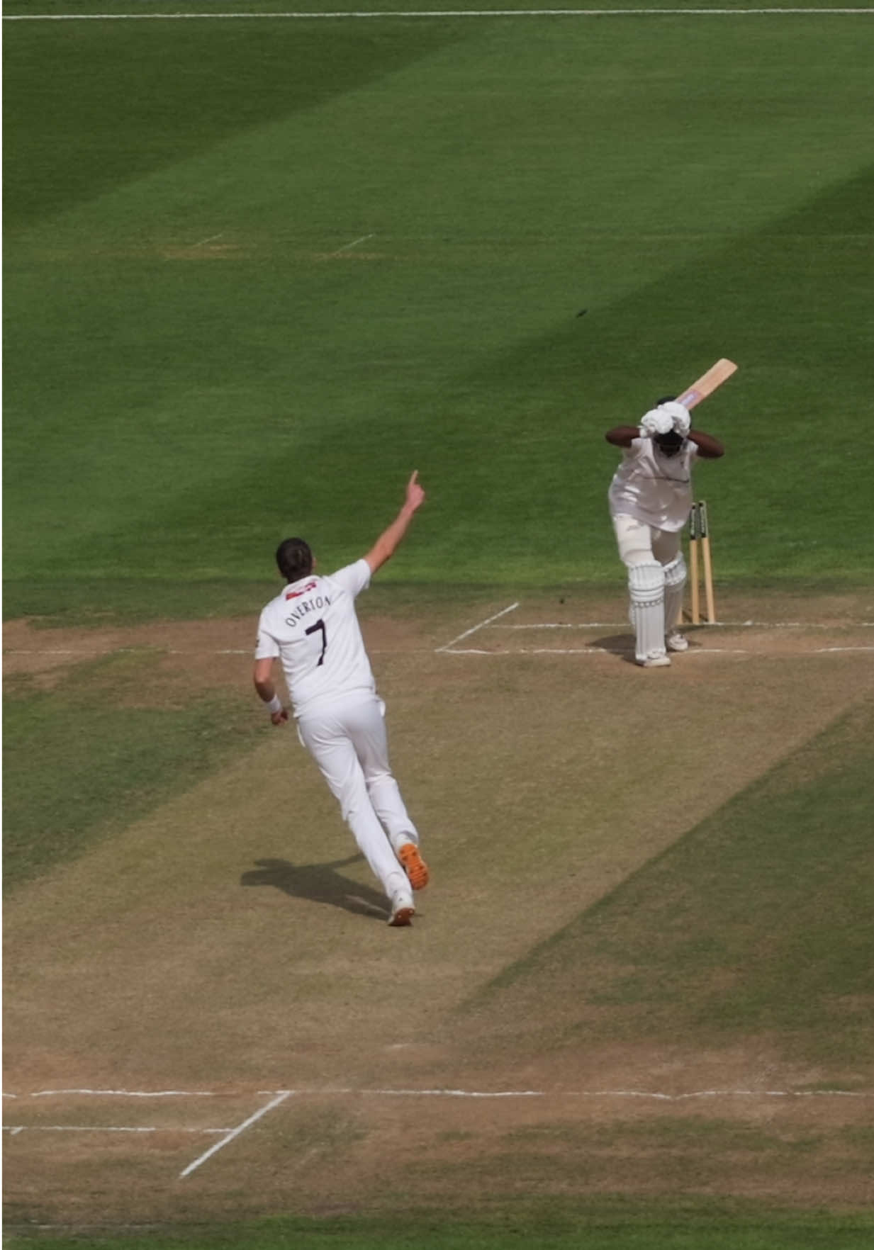 @Somerset Cricket