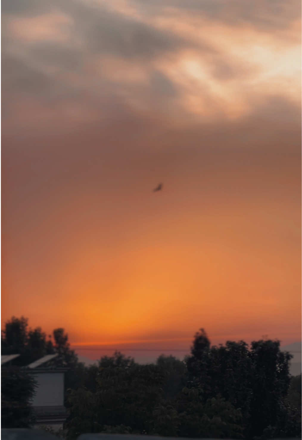 @Hanan 🕊️