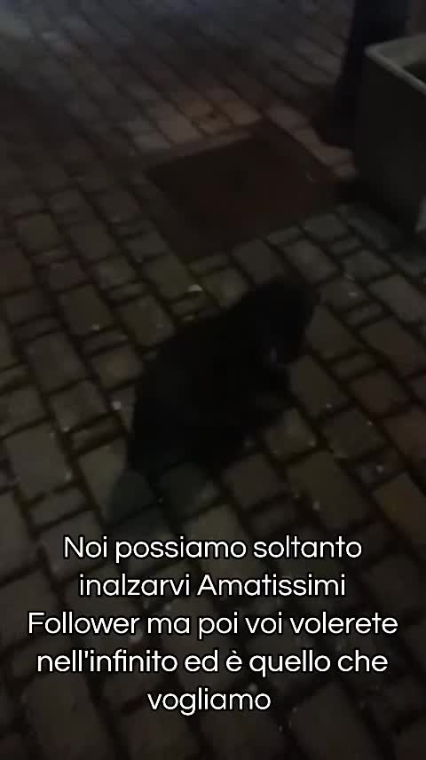 @ELETTRA L'ANIMALISTA