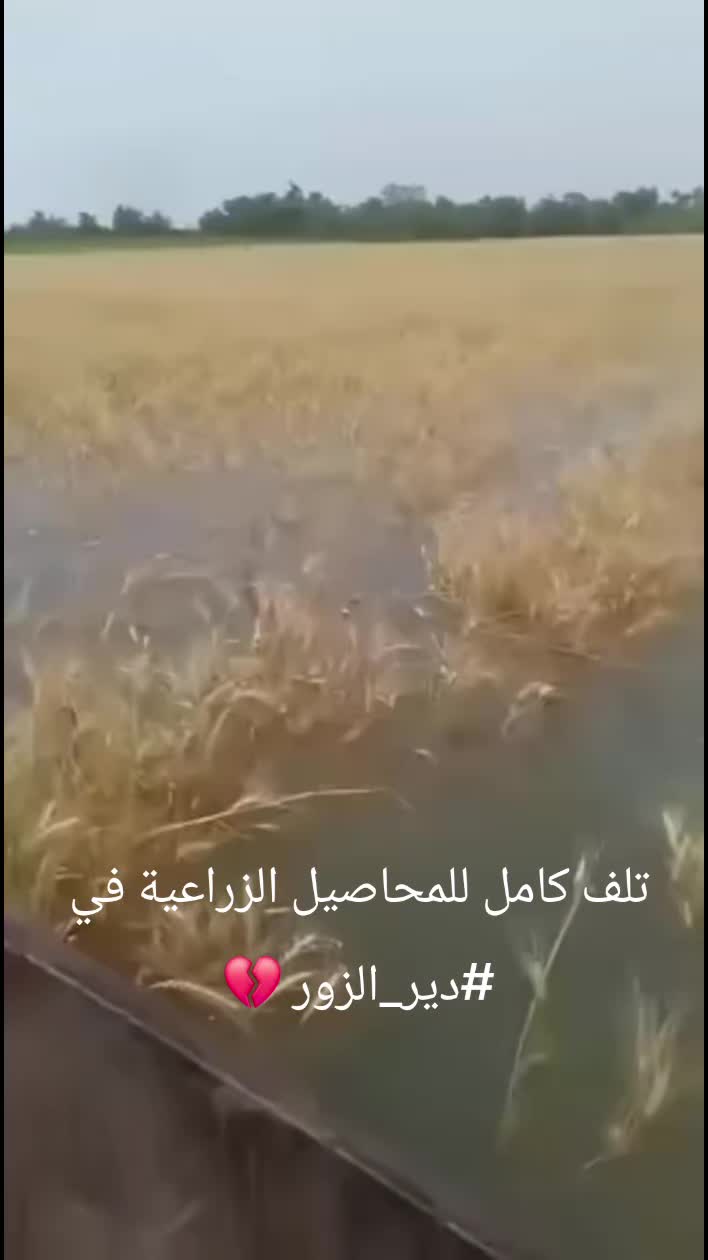 @💚seba_911💚