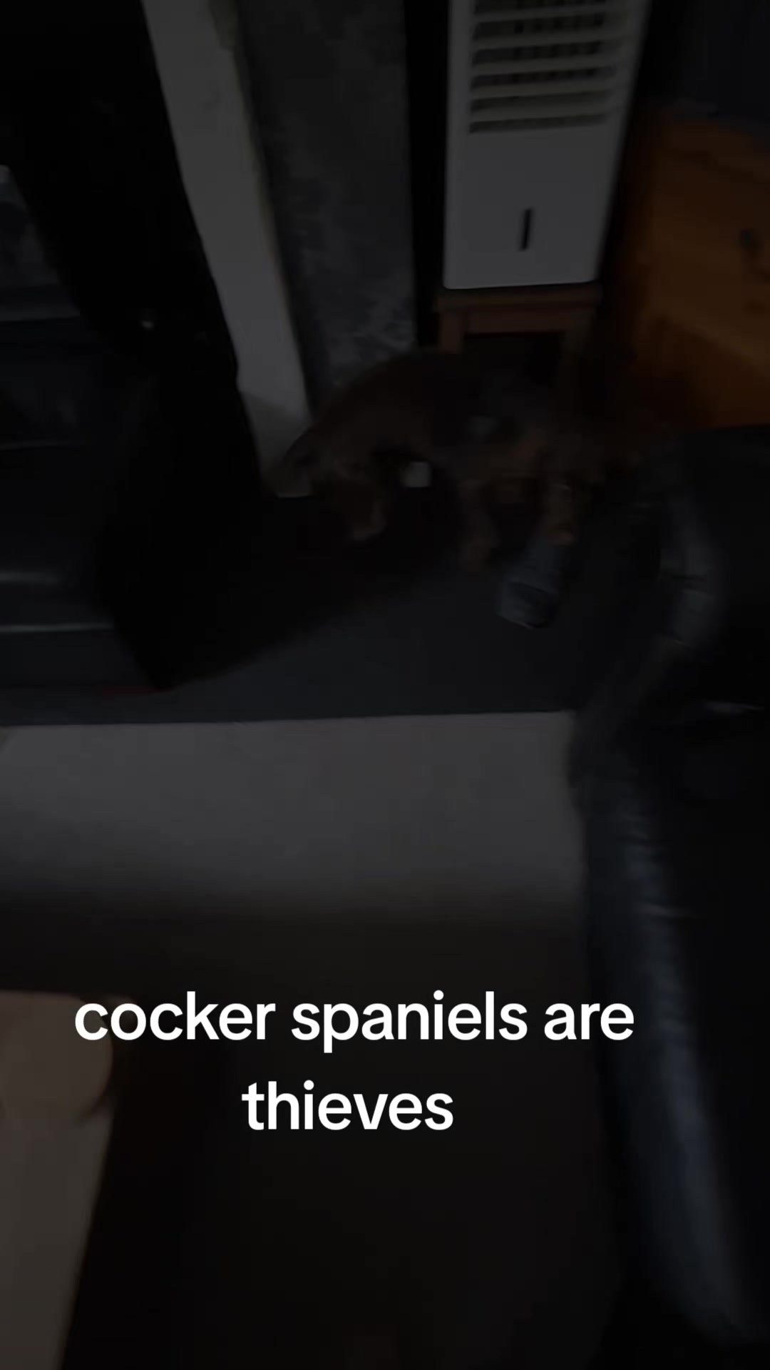@Michael