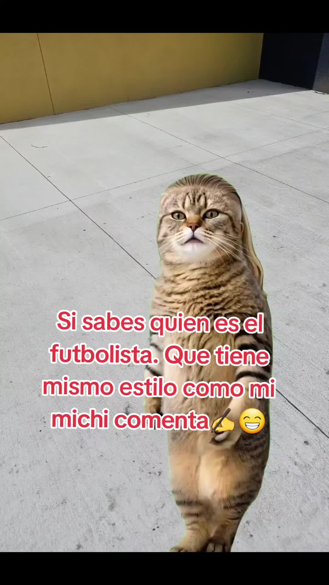 @Gabrielito 502