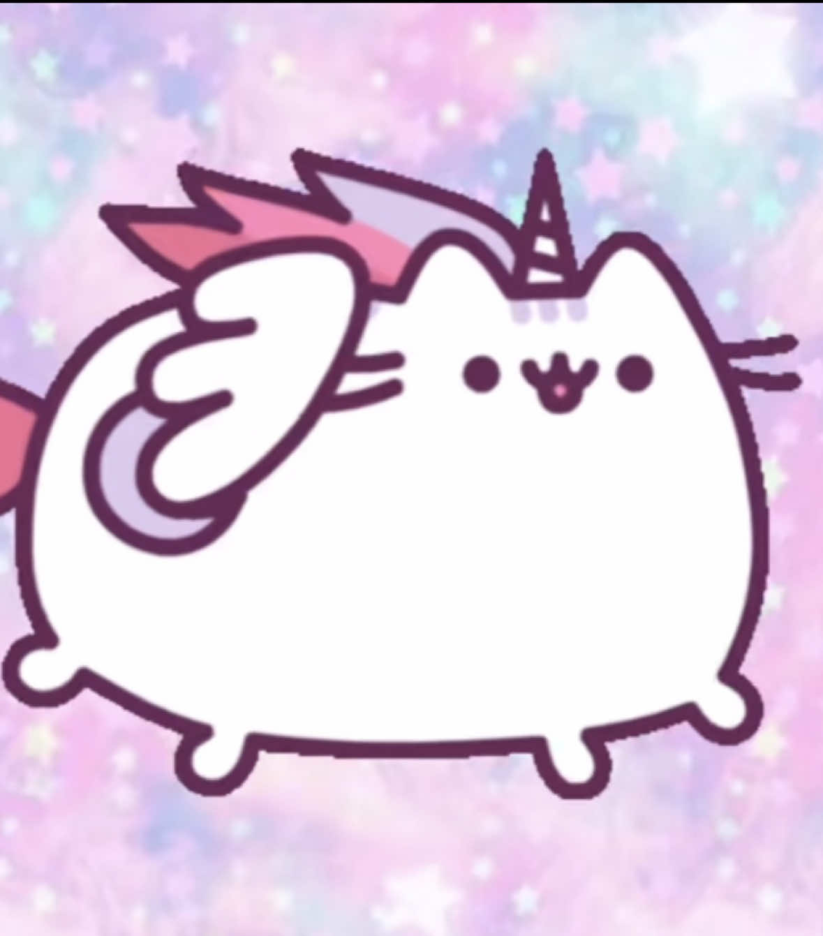 @🐰