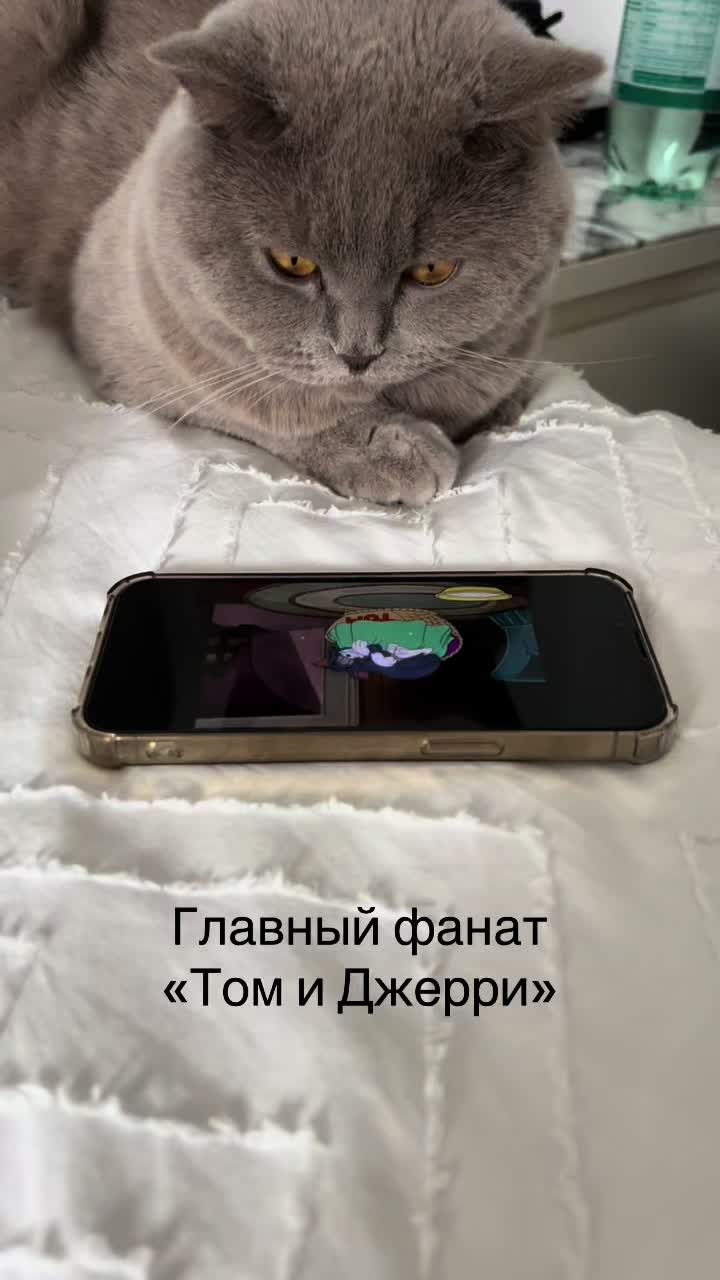 @Anya
