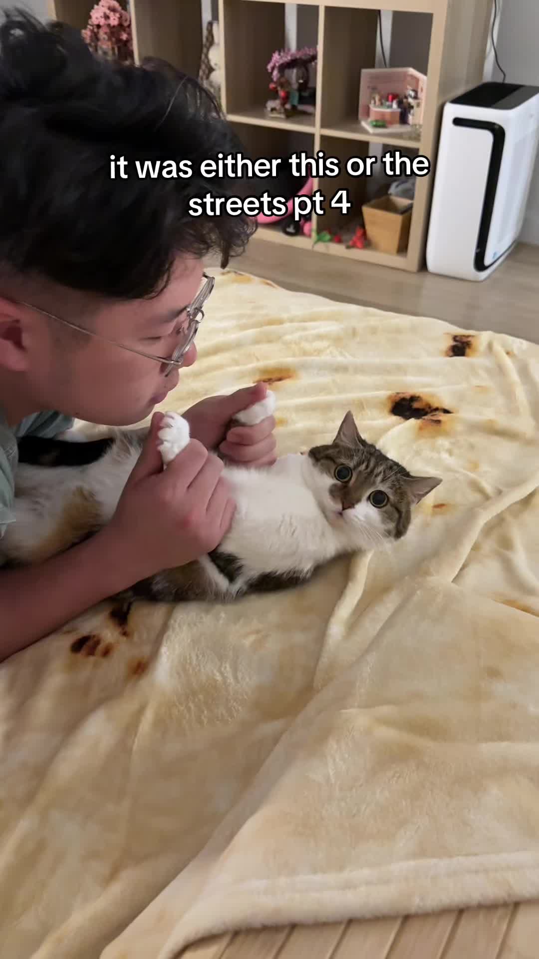 @Suki Purrs