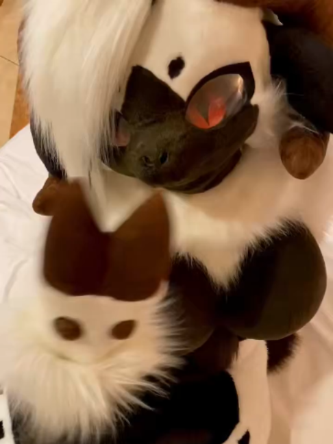 @radywolf