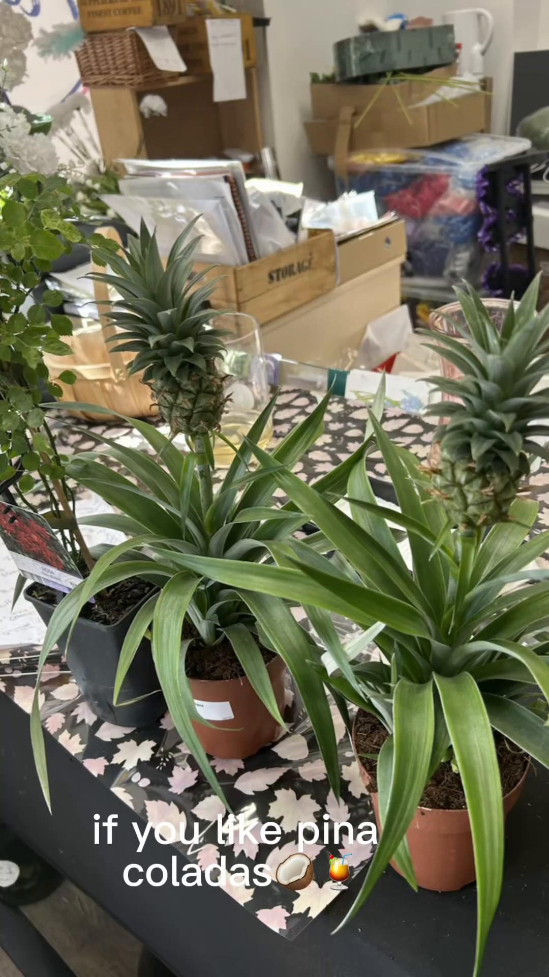 @The Florist Shrewsbury