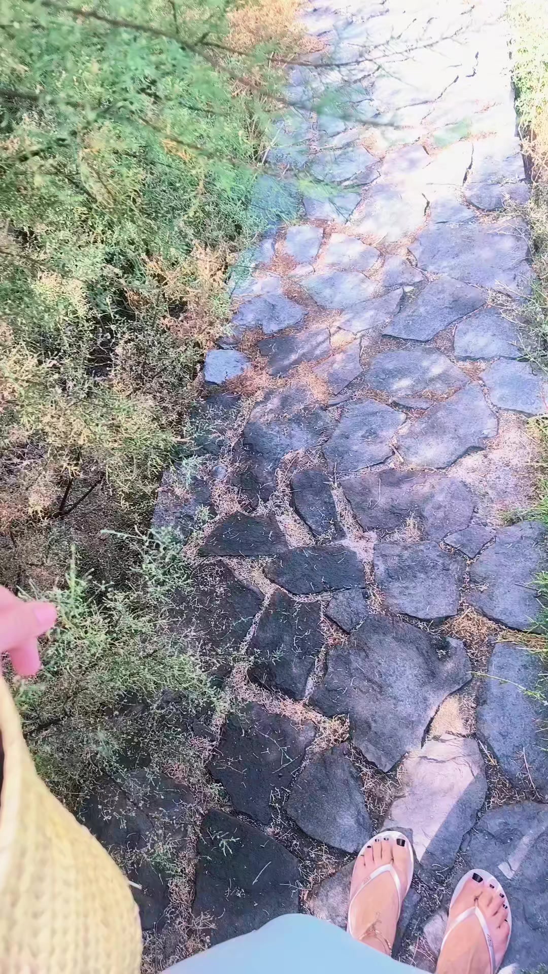 @Miriam🖤🍀🇮🇨