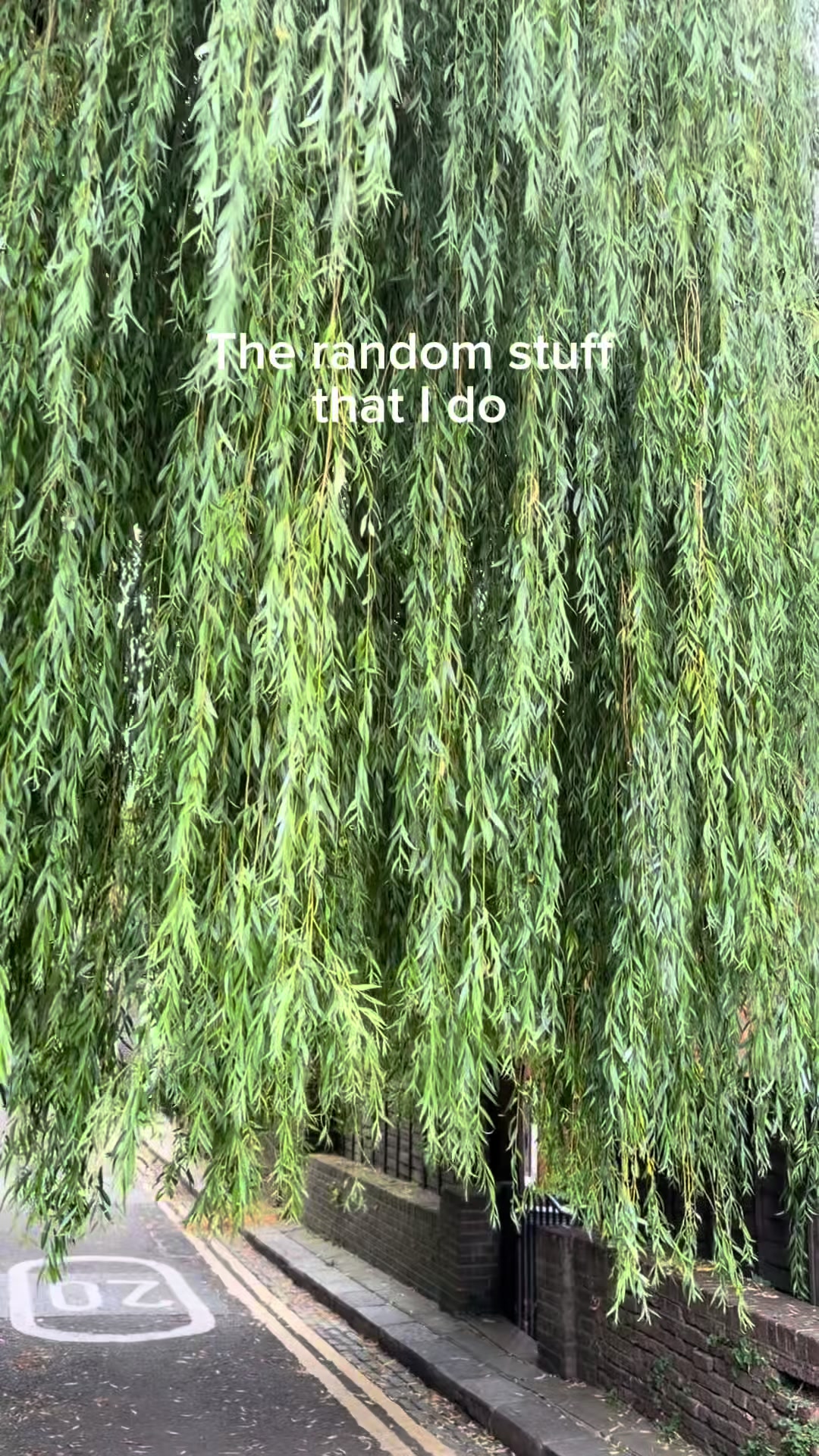 @vt.sidequest
