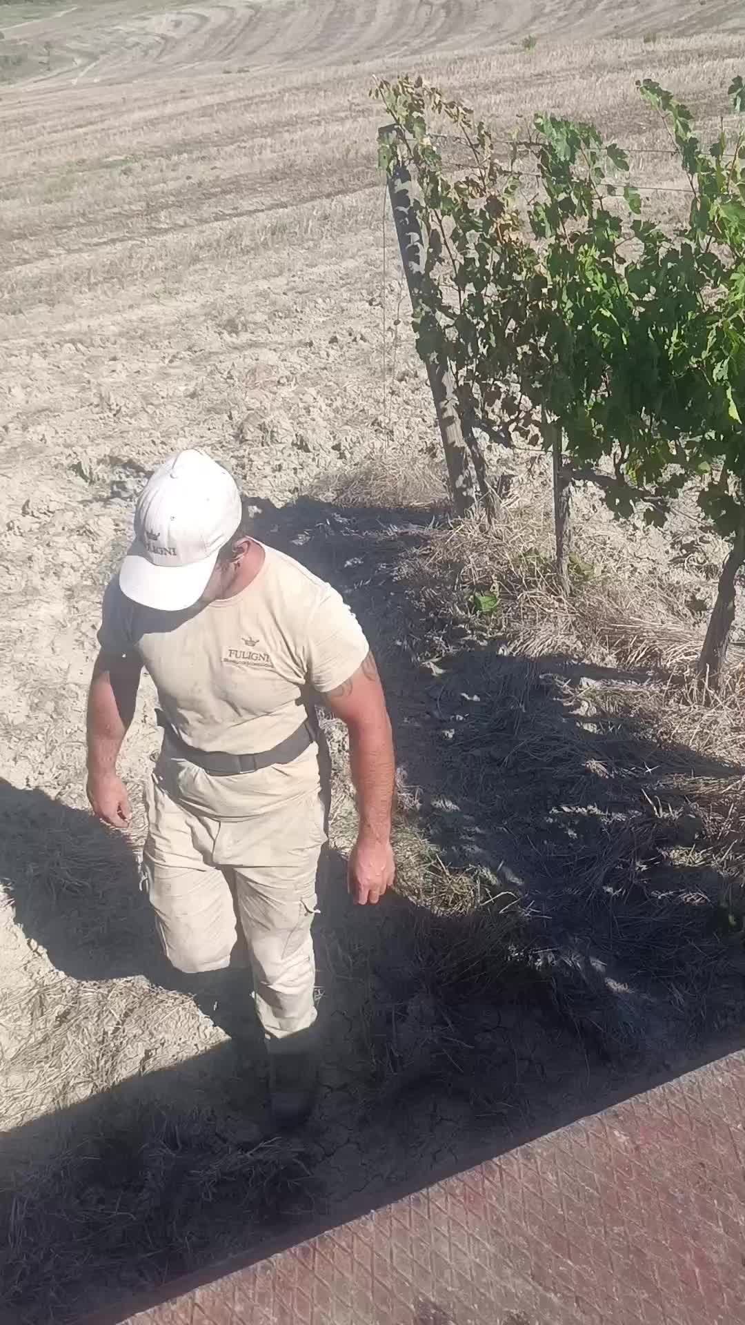 @GHISA🏋♂️🦍E AGRICOLTURA👷♂️